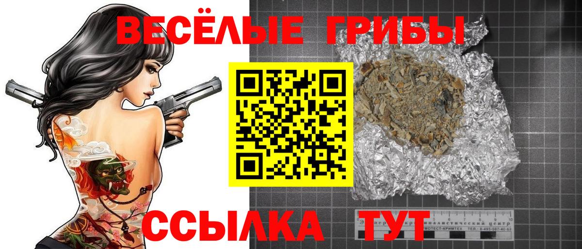 Старая Купавна  Галлюциногенные грибы GOLDEN TEACHER  Вход с VPN 